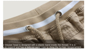 Men's Summer Casual Shorts Straight Fashion Cotton